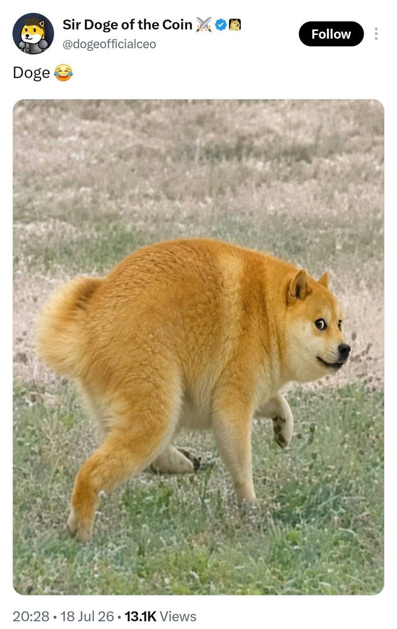 Community Doggo